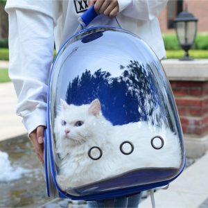 Colorful Shell Pet Carrier Backpack