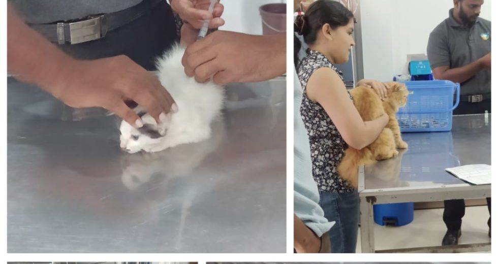 WhatsApp Image 2025-10-02 at 15.12.53