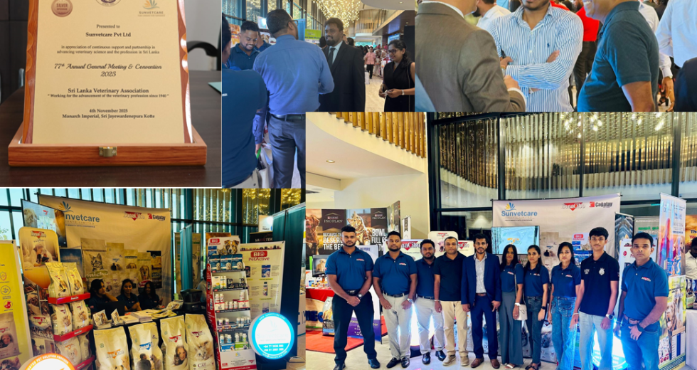 slva 2025 photo collage 2